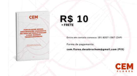 O Coletivo Cem Flores lança o livro das Resoluções Políticas do 3º Encontro de Organização