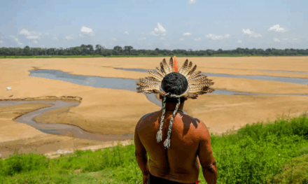 Sobre a COP30 de Belém: falsas promessas dos governos burgueses e agravamento do colapso ambiental capitalista
